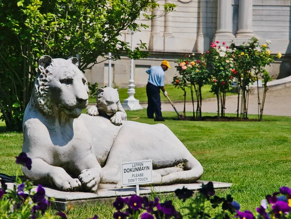 Dolmabahçe aslan heykeli ve bahçıvan, İstanbul, Türkiye.