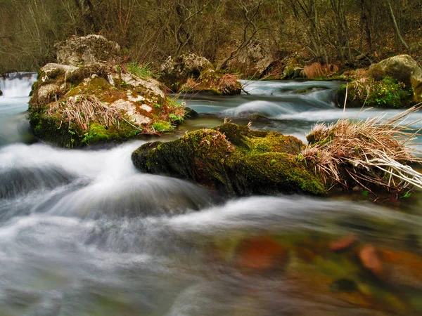 Mora, Yunanistan'da Lousios nehri. Uzun pozlama, su etkisi.