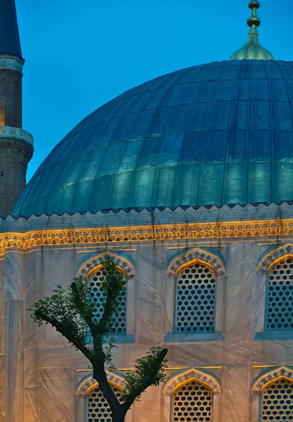Голубая Мечеть Подробно Ночью Искусственным Освещением Деревом Стамбул Турция — стоковое фото