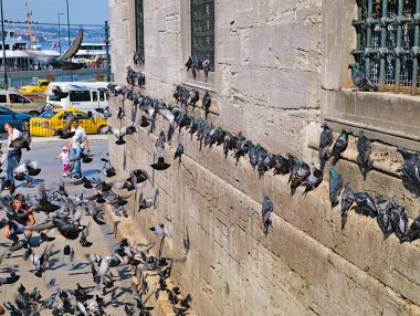 İstanbul, Türkiye - 24.05.2010: Halk ve güvercinler ar Eminönü mahallesi.