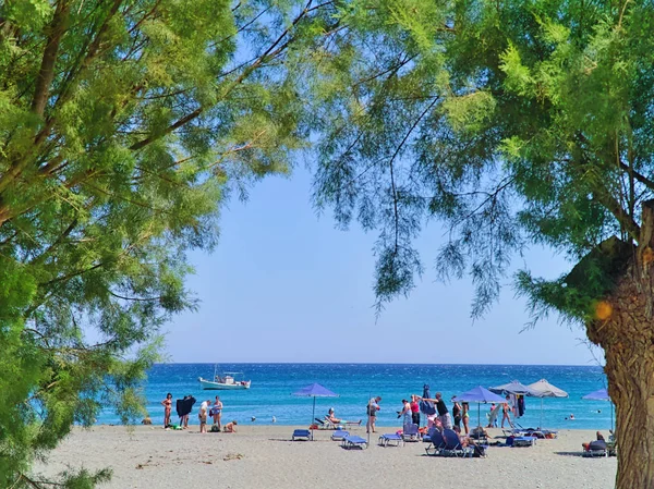 Girit Yunanistan 2009 Hanya Fragocastelo Kumlu Plaj Çam Ağaçları Insanlar — Stok fotoğraf