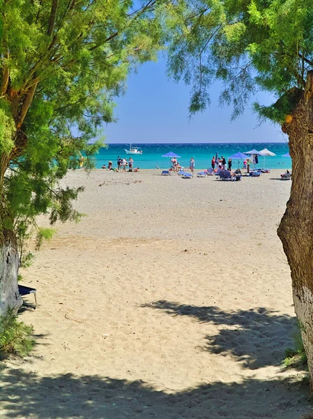 Crete Greece 2009 Fragocastelo Sandy Beach Chania Pine Trees People — стоковое фото