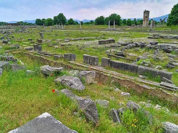 Ruiner Och Vegetation Den Antika Platsen Filipoi Kavala Makedonien Grekland — Stockfoto