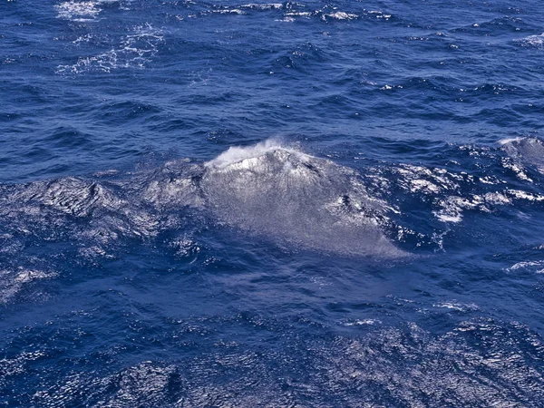 Gros Plan Sur Les Vagues Mer Bleu Profond — Photo