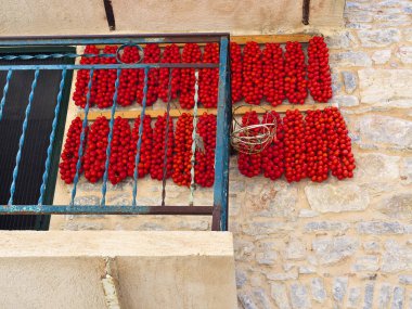 Güneşte kurutulmuş küçük kiraz domates asılı demetleri, Pyrgi köy, Sakız Adası, Yunanistan.