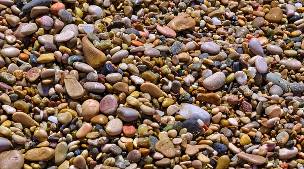 Plage de galets colorés fermer panorama arrière-plan . — Photo