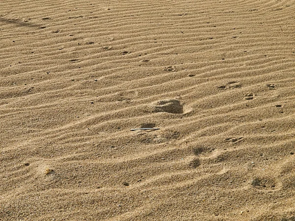 Sand konsistens med ringar och spår, närbild detalj, strukturerad b — Stockfoto