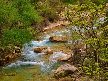 Neda Nehri, Mora Yunanistan 'da.