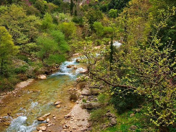 Neda River Peloponnese Greece View — Stock Photo, Image