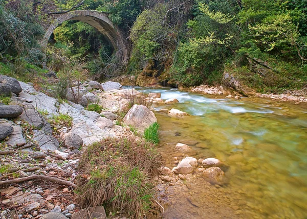Neda Fluss Peloponnes Griechenland Und Traditionelle Bogensteinbrücke Über — Stockfoto