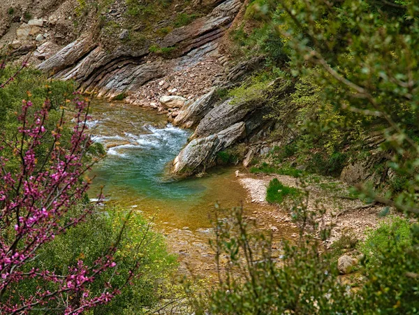 Neda Fluss Peloponnes Griechenland — Stockfoto