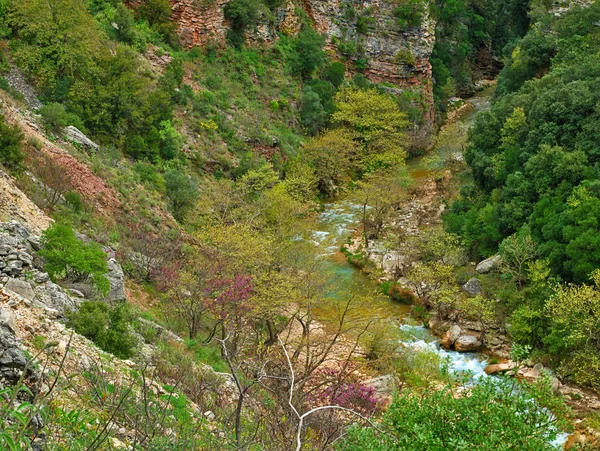 Neda Fluss Peloponnes Griechenland Blick Von Oben Lebendige Natur Bild — Stockfoto