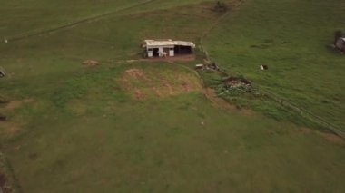 Drone 4k bir at üzerinde uçar