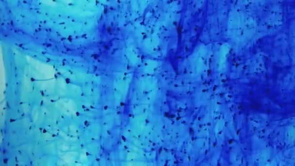 Beautiful Blue Texture Of Ink In Water — Stock Video