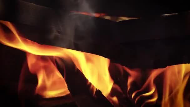Close Up de madeira de fogo — Vídeo de Stock