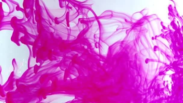 Tinta rosa moviéndose en el agua — Vídeo de stock