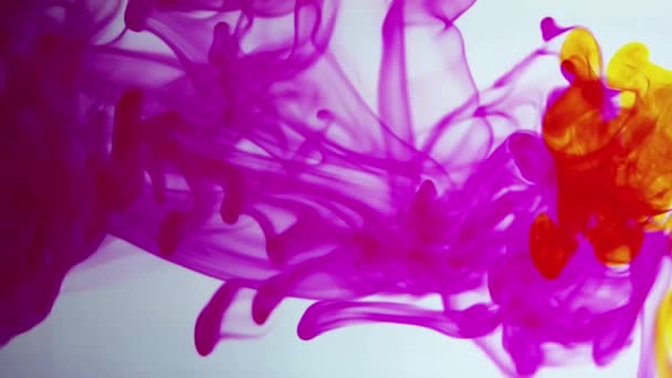 Pink And Yellow Ink Moving In Water — Stock Video