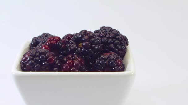 黑莓在小白碗 — 图库视频影像
