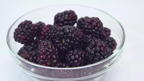 黑莓在半透明碗 — 图库视频影像