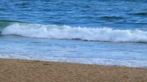 Vagues de plage s'écrasant sur le rivage de la plage — Video