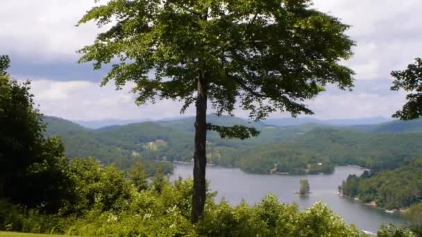 Vista recreativa del lago durante el verano — Vídeo de stock