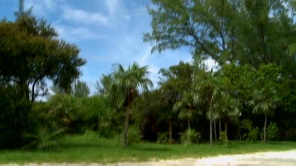 Kołysanie na hamaku i filmowanie plaży i drzew — Wideo stockowe