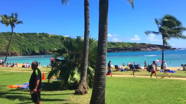 Timelapse van het Hawaiiaanse strand overdag — Stockvideo