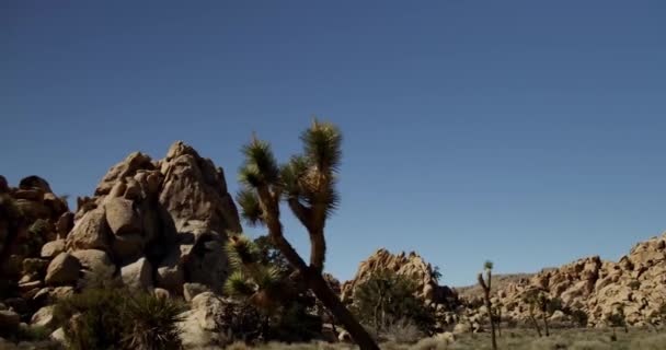 Viajando tiro de cena do deserto com céu azul e pedras vermelhas — Vídeo de Stock