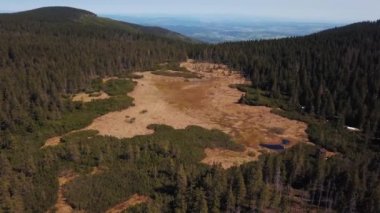 Moorland drone 4k aşağı gidiyor