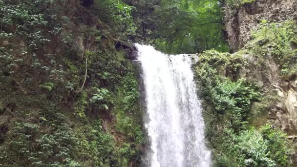 Puebla Meksika 'Da güzel şelale — Stok video