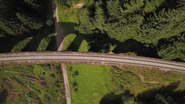 Drone ascendiendo por encima de un viaducto en un bosque — Vídeo de stock