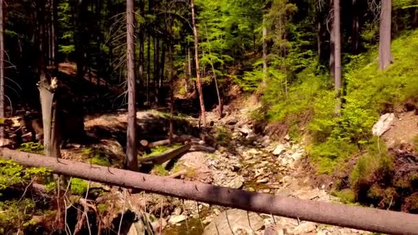 Fly over a creek backwards in 4K — Stock Video