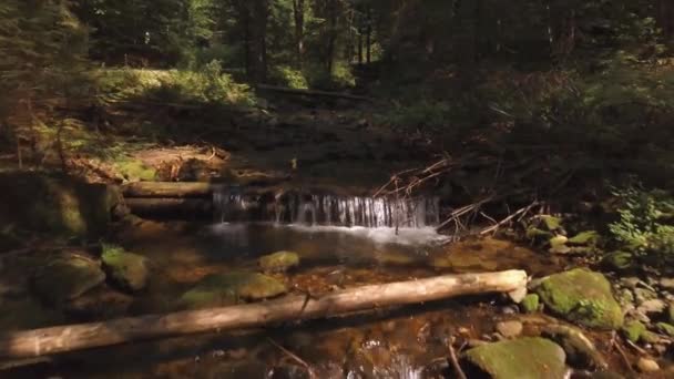 Flyga över en bäck med litet vattenfall i 4K Stockfilm