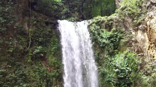 Stora vackra vattenfall vattenväxter och klippor — Stockvideo
