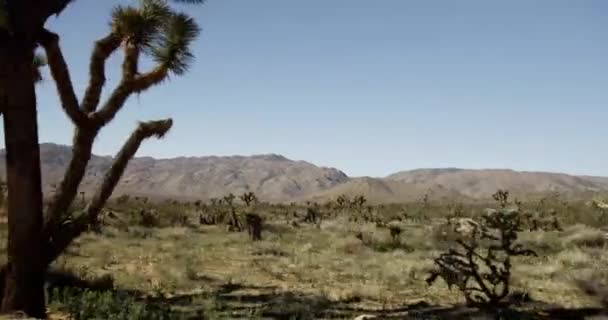 Viajando tiro na estrada rústica de elementos desertos — Vídeo de Stock