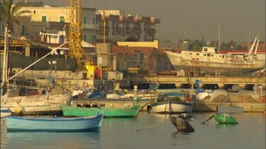 martılar teknelerin kenarında dinlenmek gibi tekneler şamandıralar yanında demirli İtalya'da liman kenti