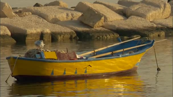 Beautiful composition of an anchored rowboat in a reflective harbor in Matera Italy — Stock Video