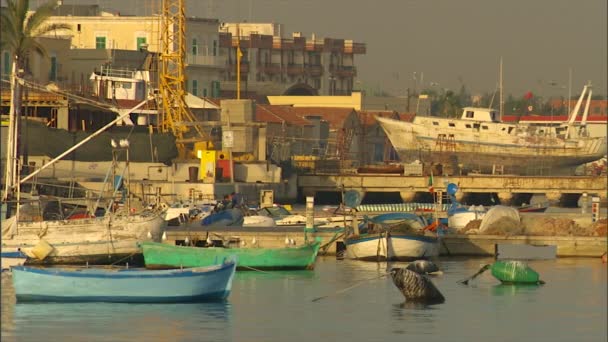 Λιμάνι στην Ιταλία, όπου τα σκάφη είναι αγκυροβολημένο μαζί με σημαδούρες, καθώς οι γλάροι χαλαρώνουν στην άκρη των σκαφών — Αρχείο Βίντεο