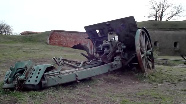Old Howitzer — Stock Video