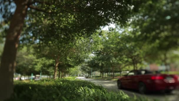 Rode auto rijdt door in een groene en schaduwrijke straat — Stockvideo