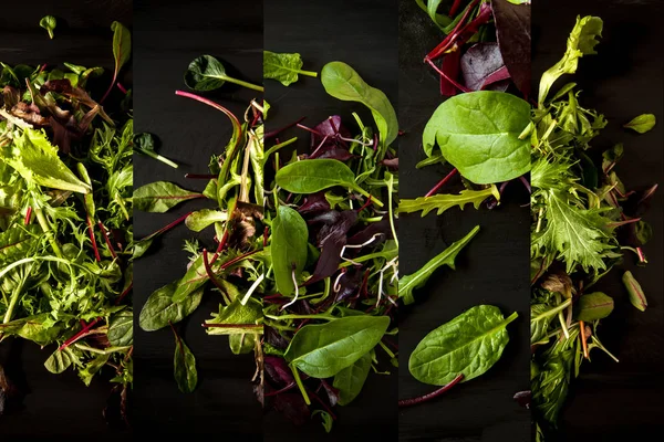 Lezzetli karışımı salata yaprakları farklı resimlerden koyu ahşap kaplama, siyah arka plan üzerinde kolaj. Üstten Görünüm