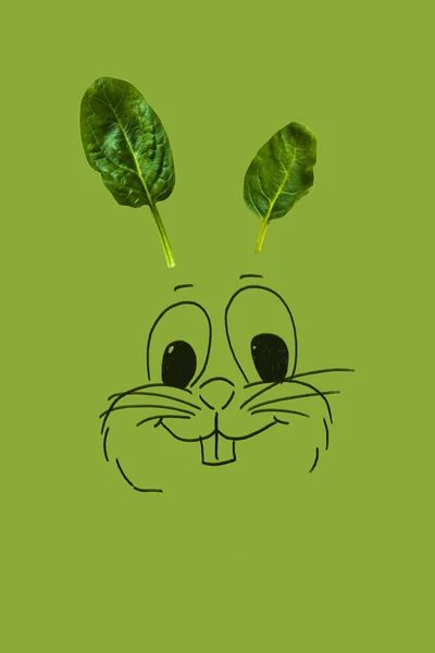 Yeşil arka plan üzerinde izole bir kulak olarak yeşil ıspanak yapılan komik Paskalya bunn bırakır