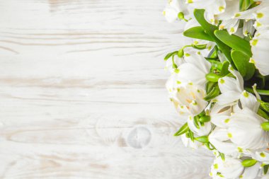 Metin için yer Beyaz ahşap zemin üzerine taze kardelen