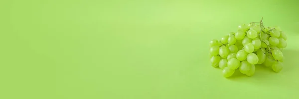 Mükemmel taze yeşil üzüm izole yeşil zemin üzerine