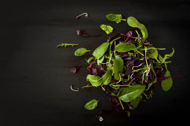 Bahar Detoks salata karışımı roka, kırmızı pancar, ıspanak ve siyah arka plan, üstten görünüm üzerinde koyu ahşap tahta üzerinde filizi ile.