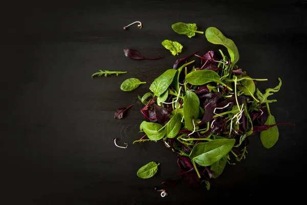Bahar Detoks salata karışımı roka, kırmızı pancar, ıspanak ve siyah arka plan, üstten görünüm üzerinde koyu ahşap tahta üzerinde filizi ile.