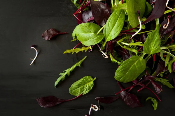 Bahar Detoks salata karışımı roka, kırmızı pancar, ıspanak ve siyah arka plan, üstten görünüm üzerinde koyu ahşap tahta üzerinde filizi ile.