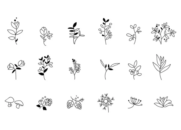 Iconos Hierbas Líneas Blanco Negro — Vector de stock