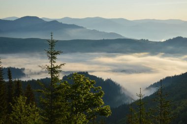 Karpatlar sisli şafak