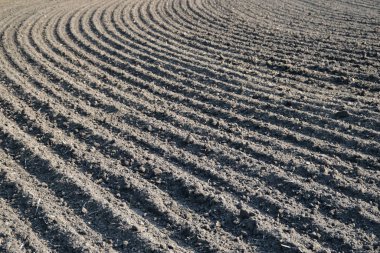 Tarıma elverişli alan dokusuna